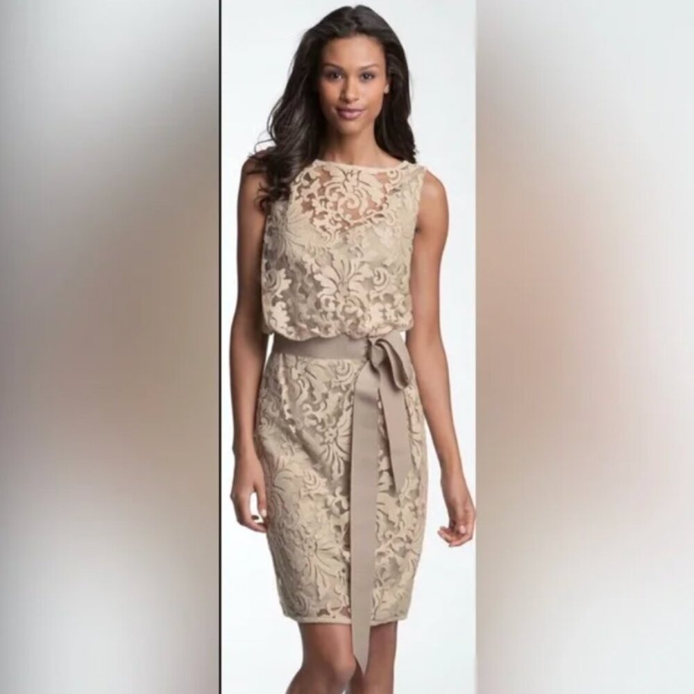 NWOT Lace Sheath Dress